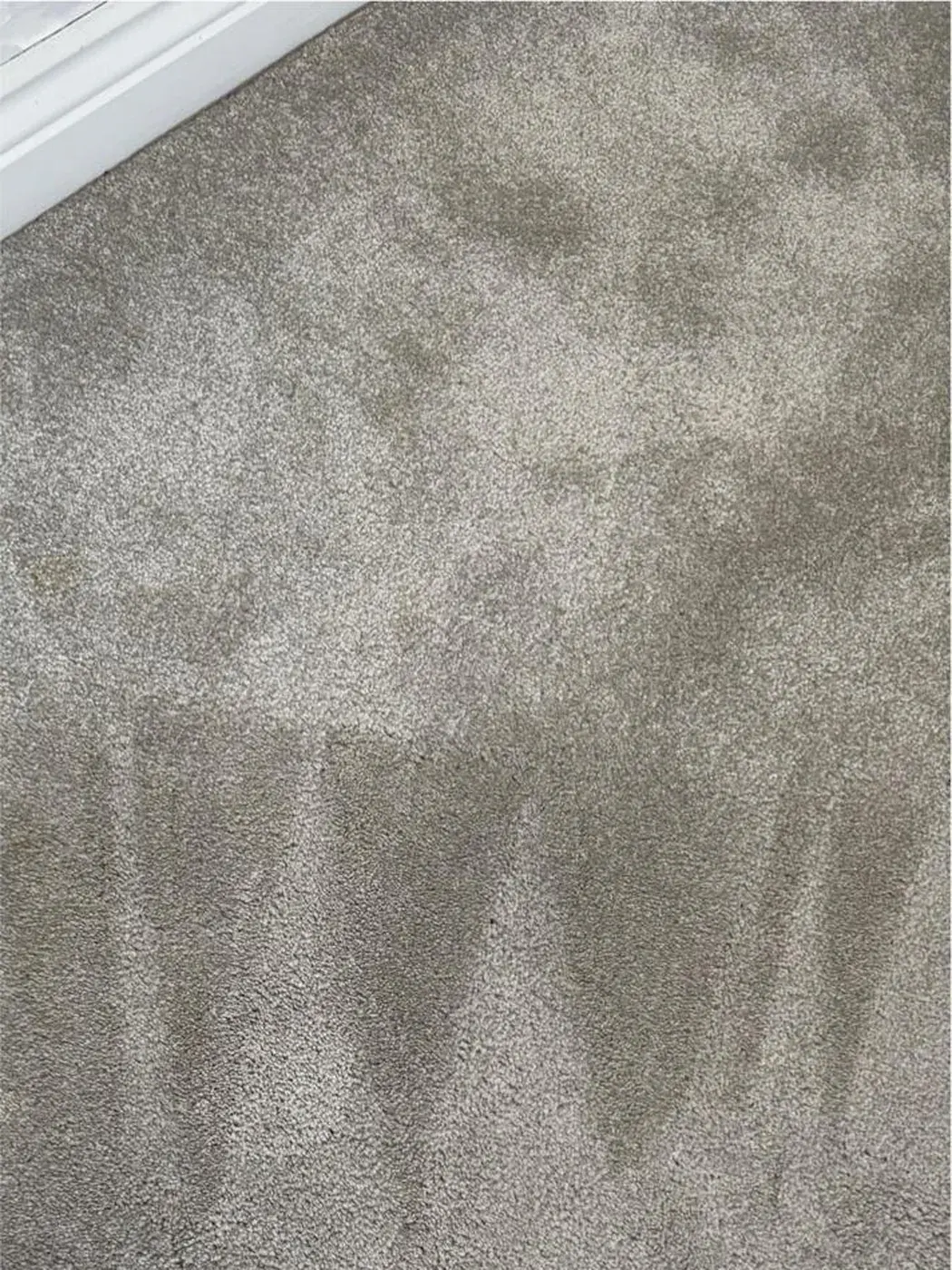 Carpet cleaning: after MyT Clean finished the job
