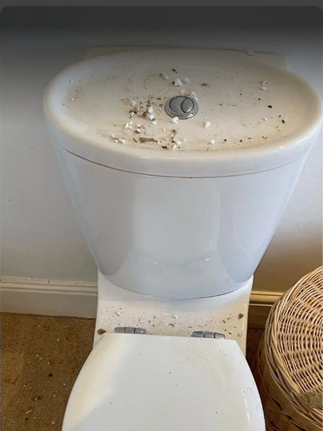 Bathroom deep clean: before MyT Clean started