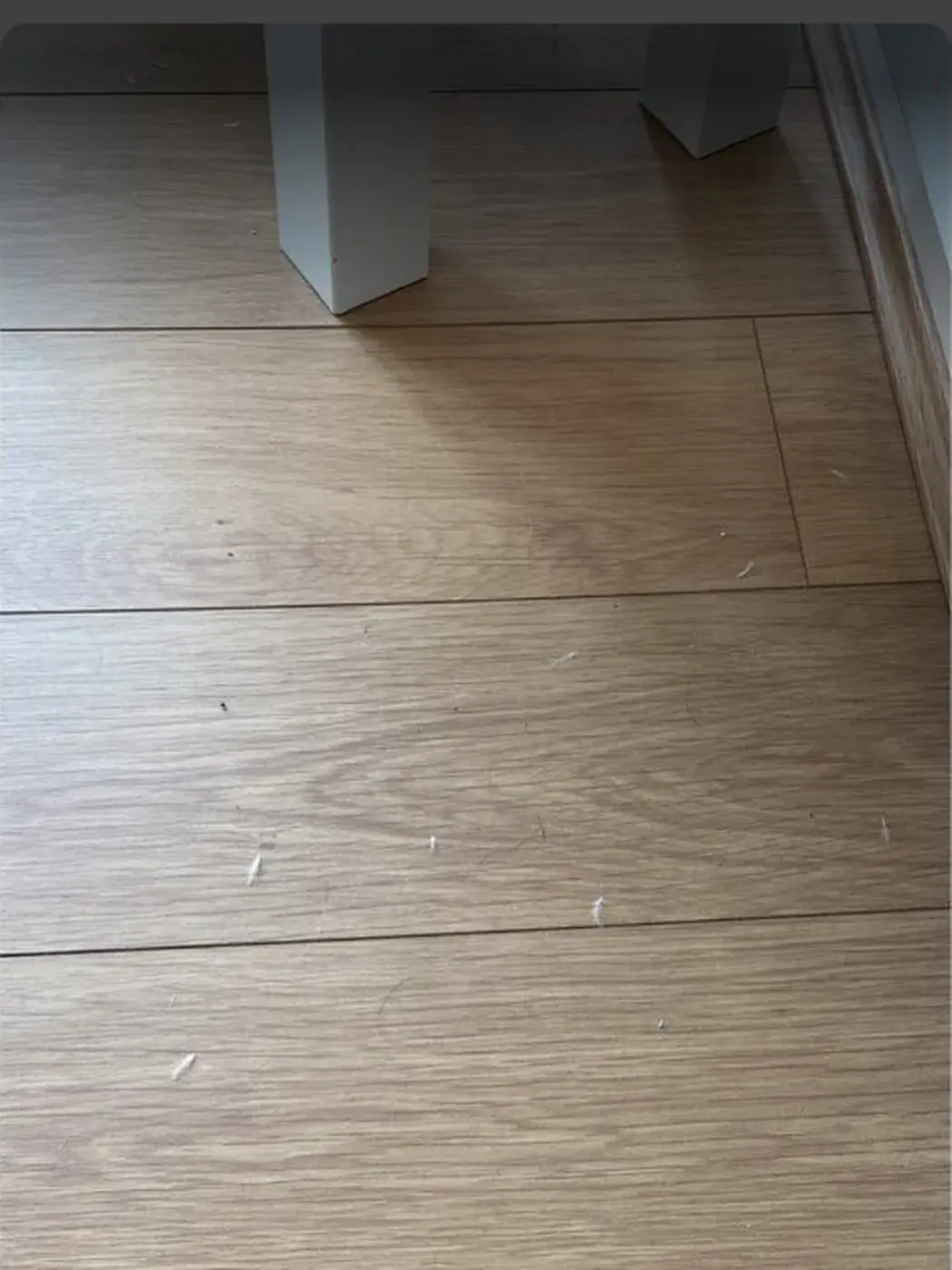 Floor cleaning: before MyT Clean started