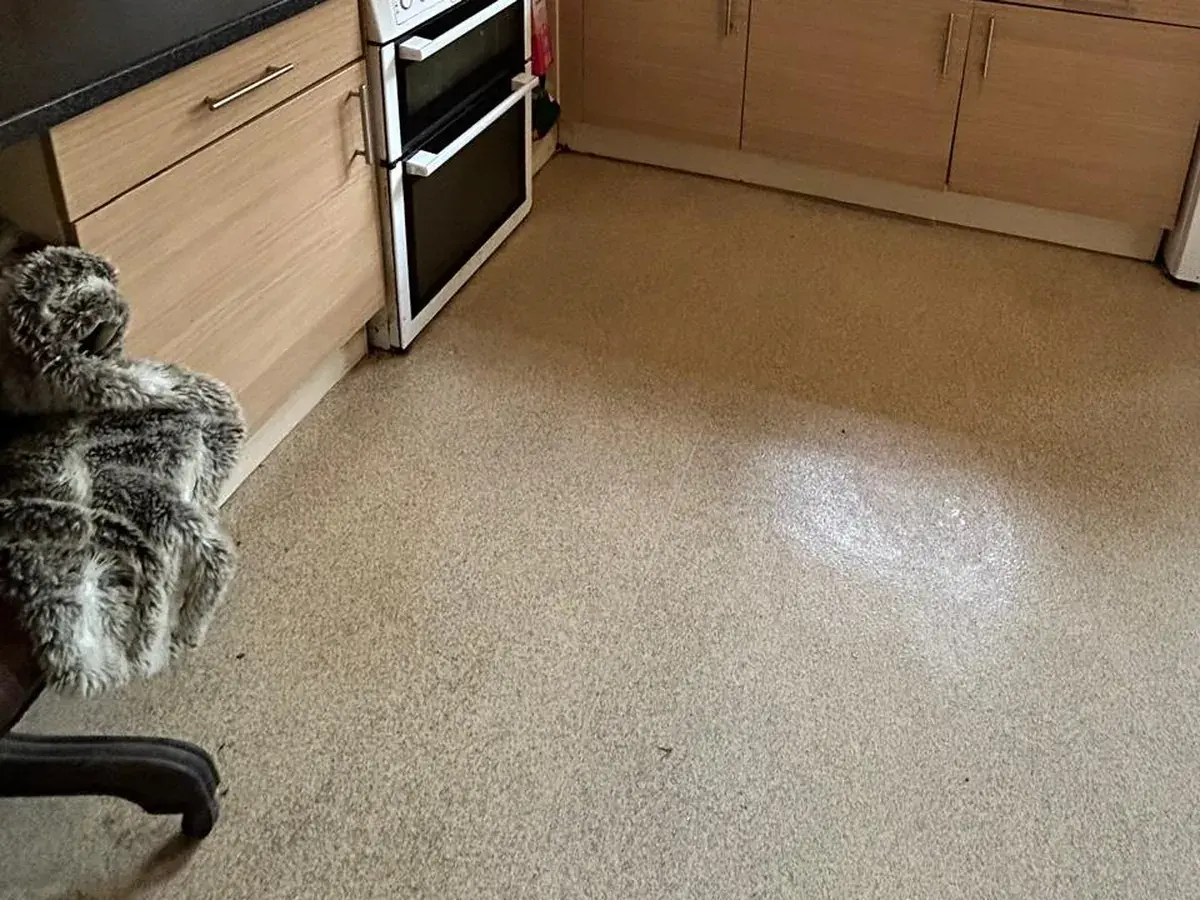 The floor: after MyT Clean finished the job